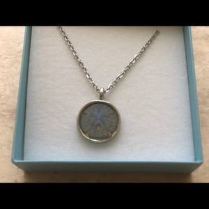 NWOT Real Sand Dollar Pendant Necklace